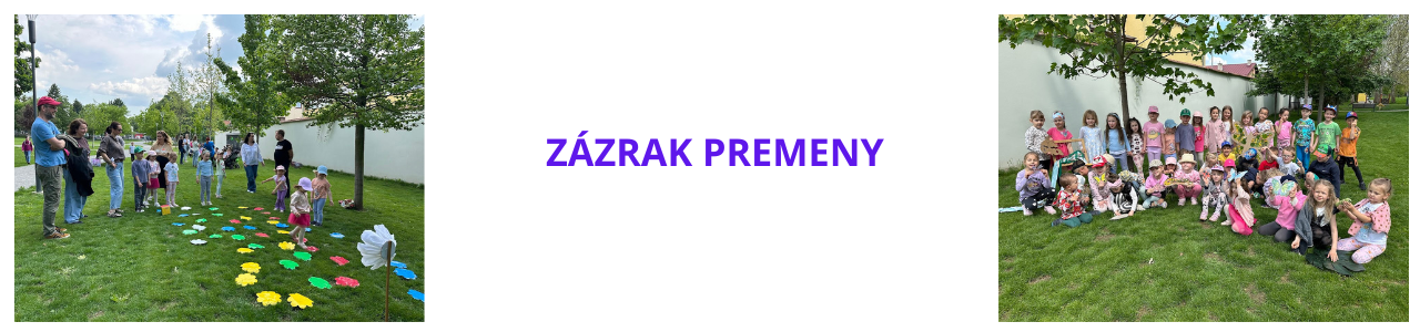 Zázrak premeny