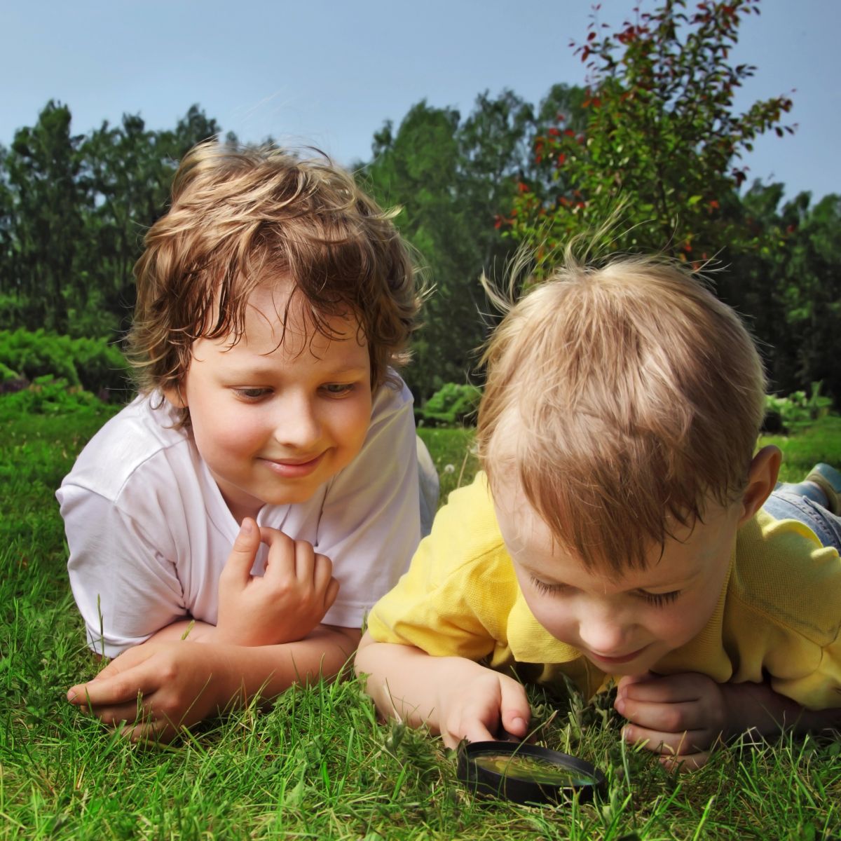 Výzva k zapojeniu sa do výskumu