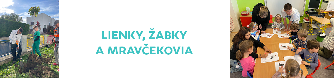 Lienky, Žabky a Mravčekovia