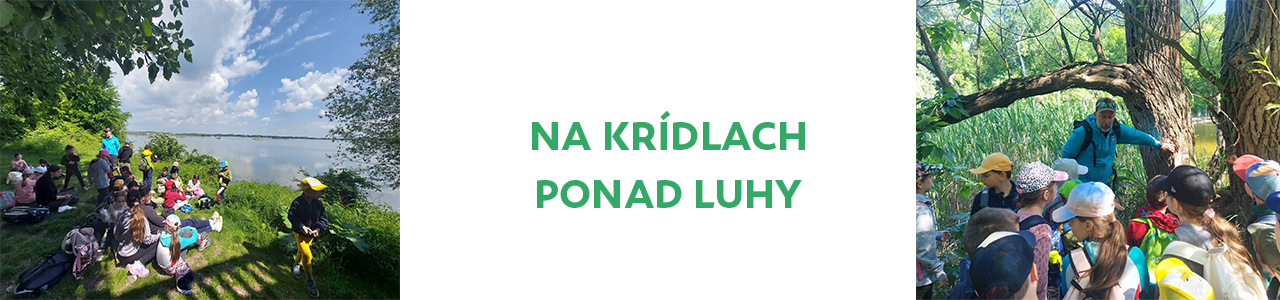 Na krídlach ponad Luhy
