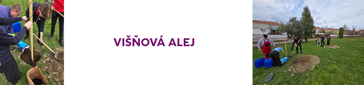 Višňová alej u Ekohotelákov