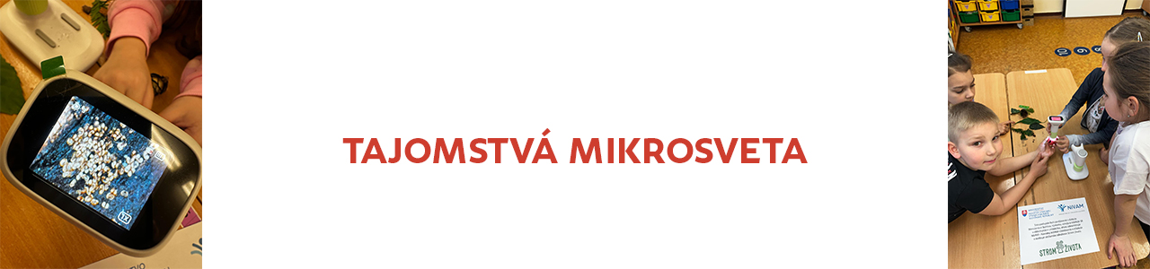 Tajomstvá mikrosveta