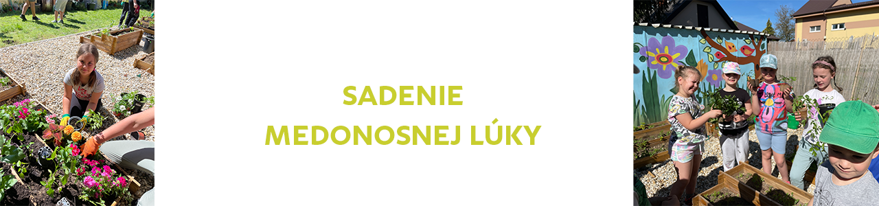Sadenie medonosnej lúky