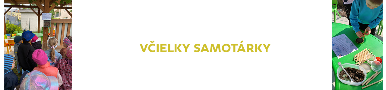 Včielky samotárky v našej záhrade