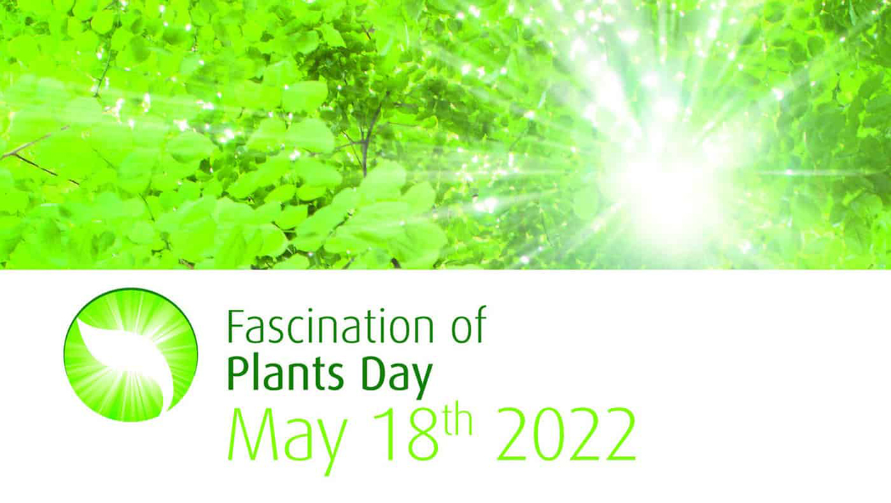 Deň fascinácie rastlinami sa blíži